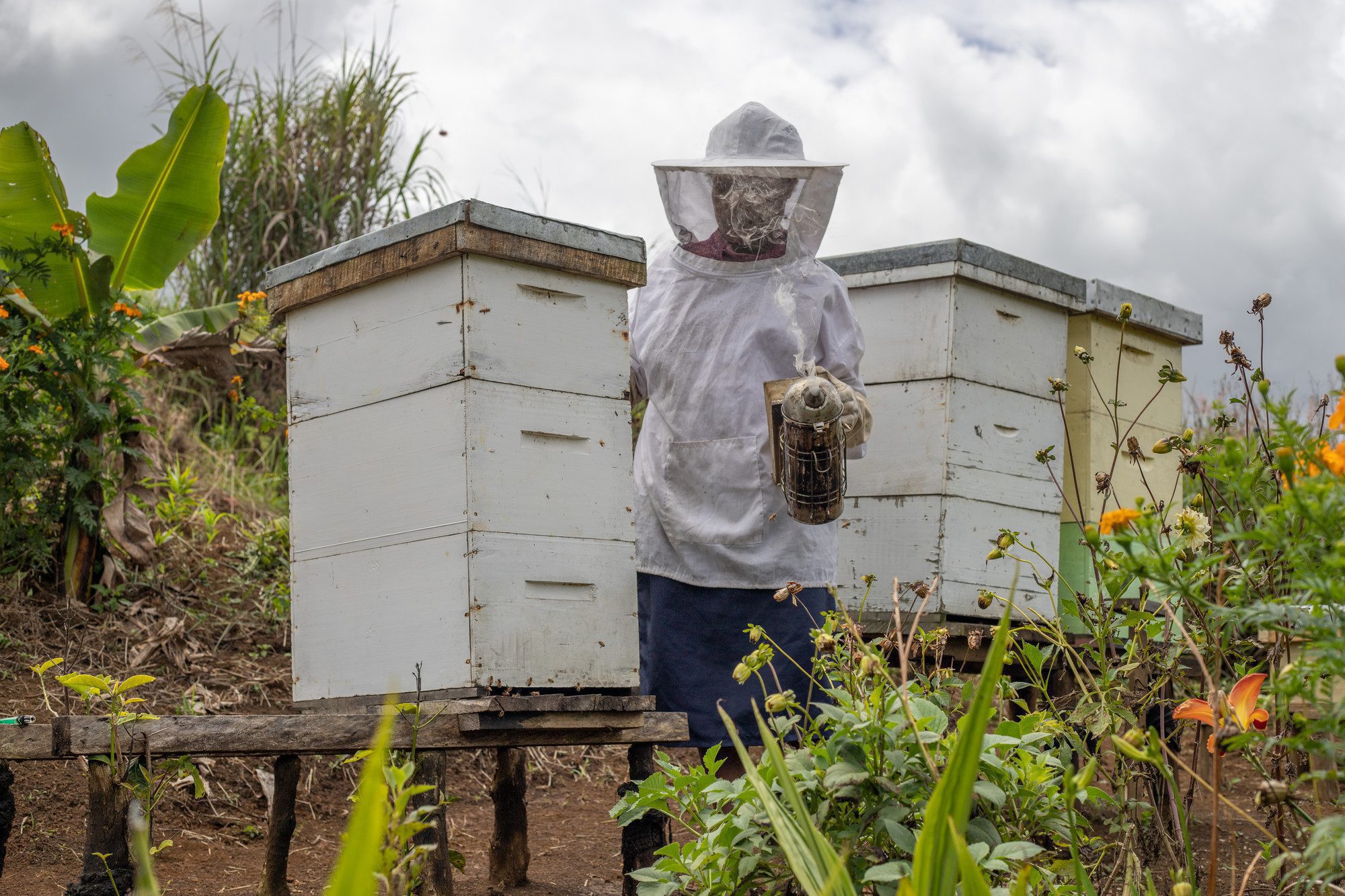 Umoja Pure Honey & Apiculture Apiary Station