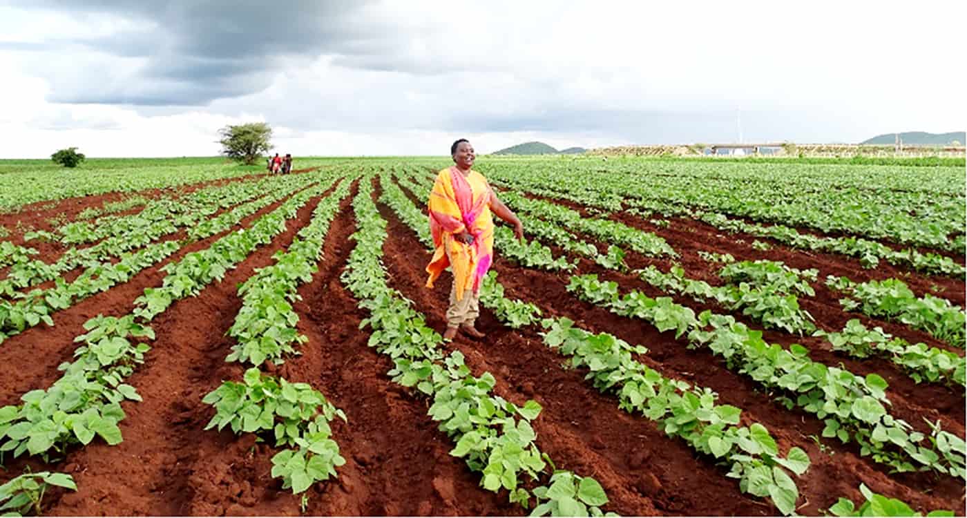 Red Soil Highland Horticulture & Legumes Farm