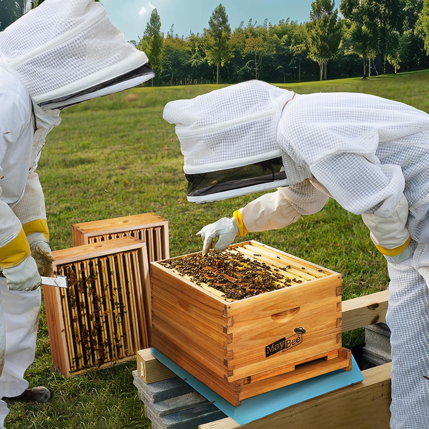 Modern Langstroth Hive Inspection & Honey Processing