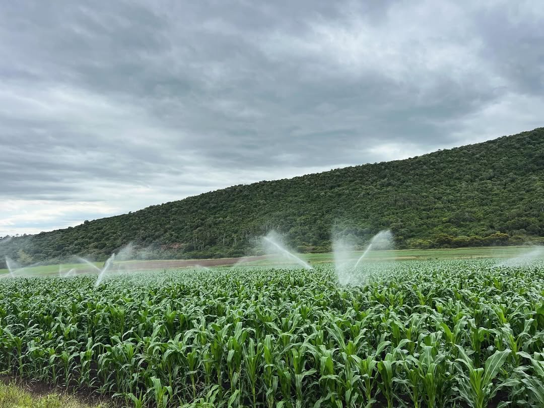 Highland Sprinkler Irrigation Project
